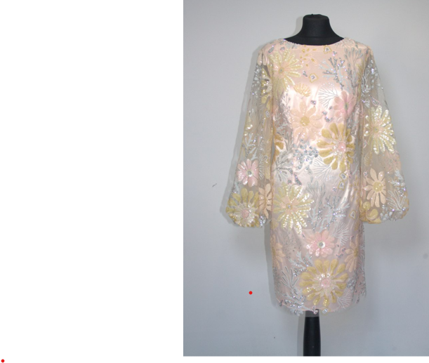 MIRANDA Sequin and Embroidered Shift Dress.
